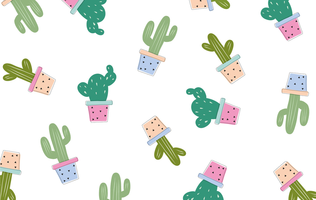 Cactus desktop wallpaper