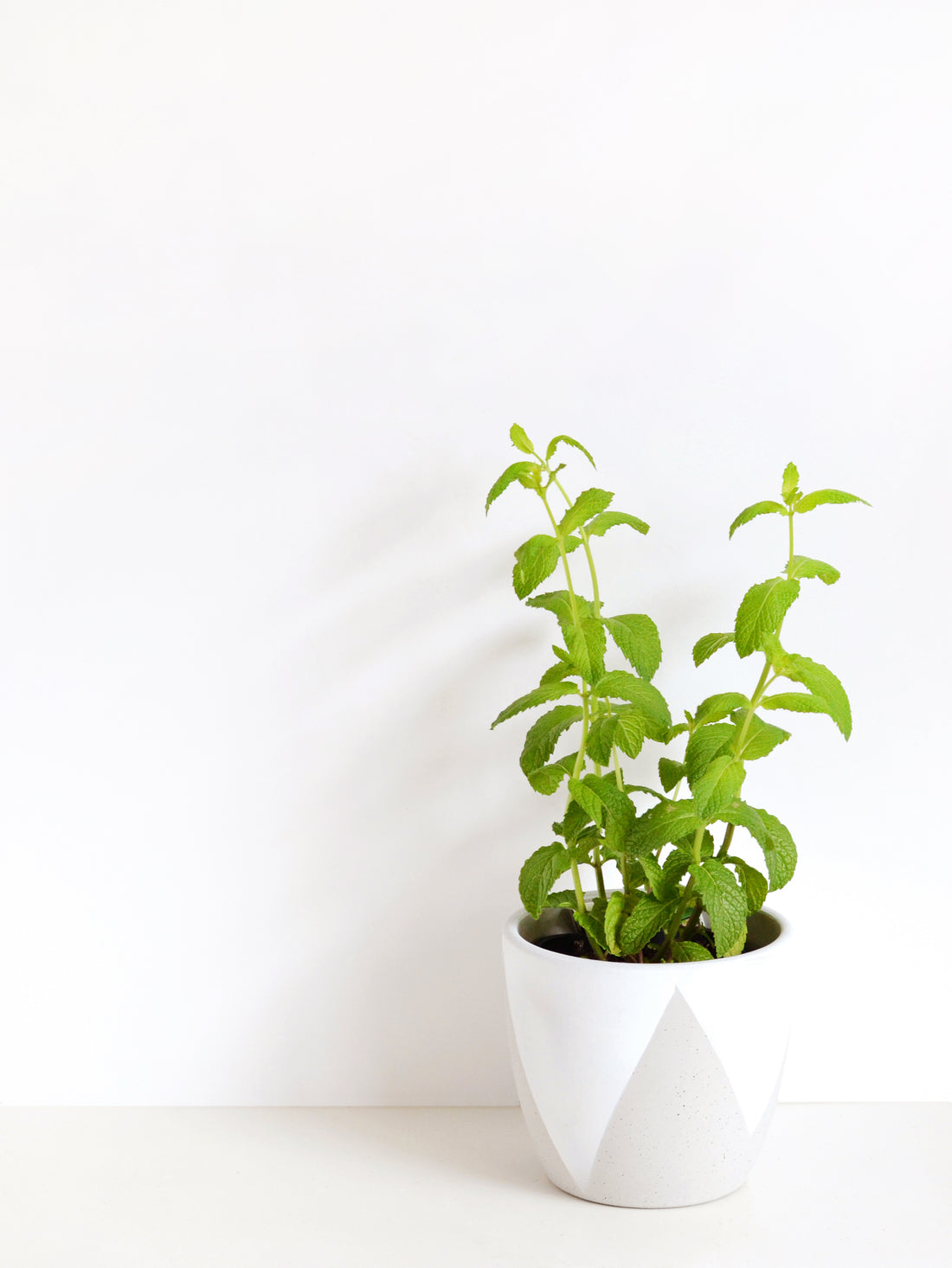 Friday faves | 15.01.16