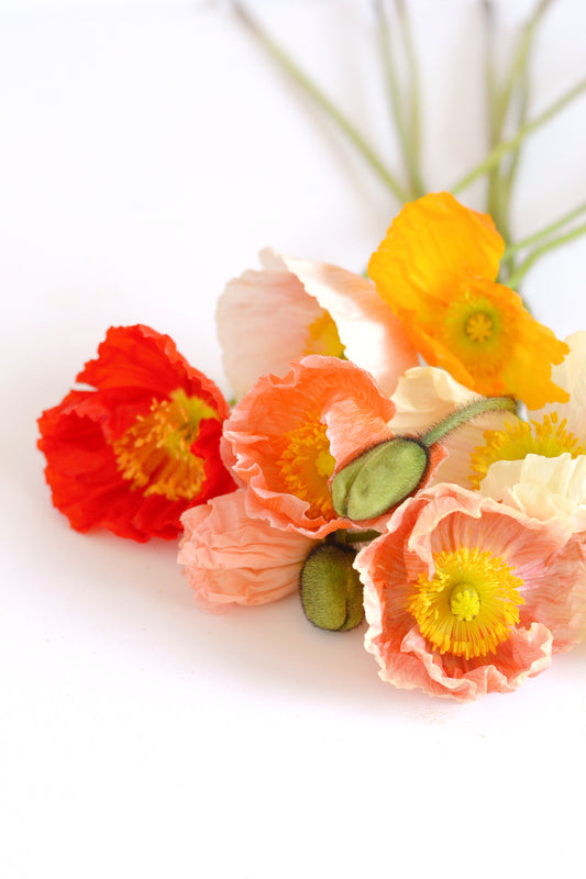 Friday faves | 18.09.15