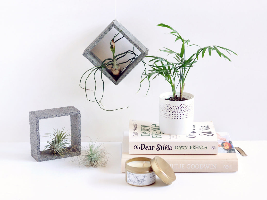 Faux stone air plant holders