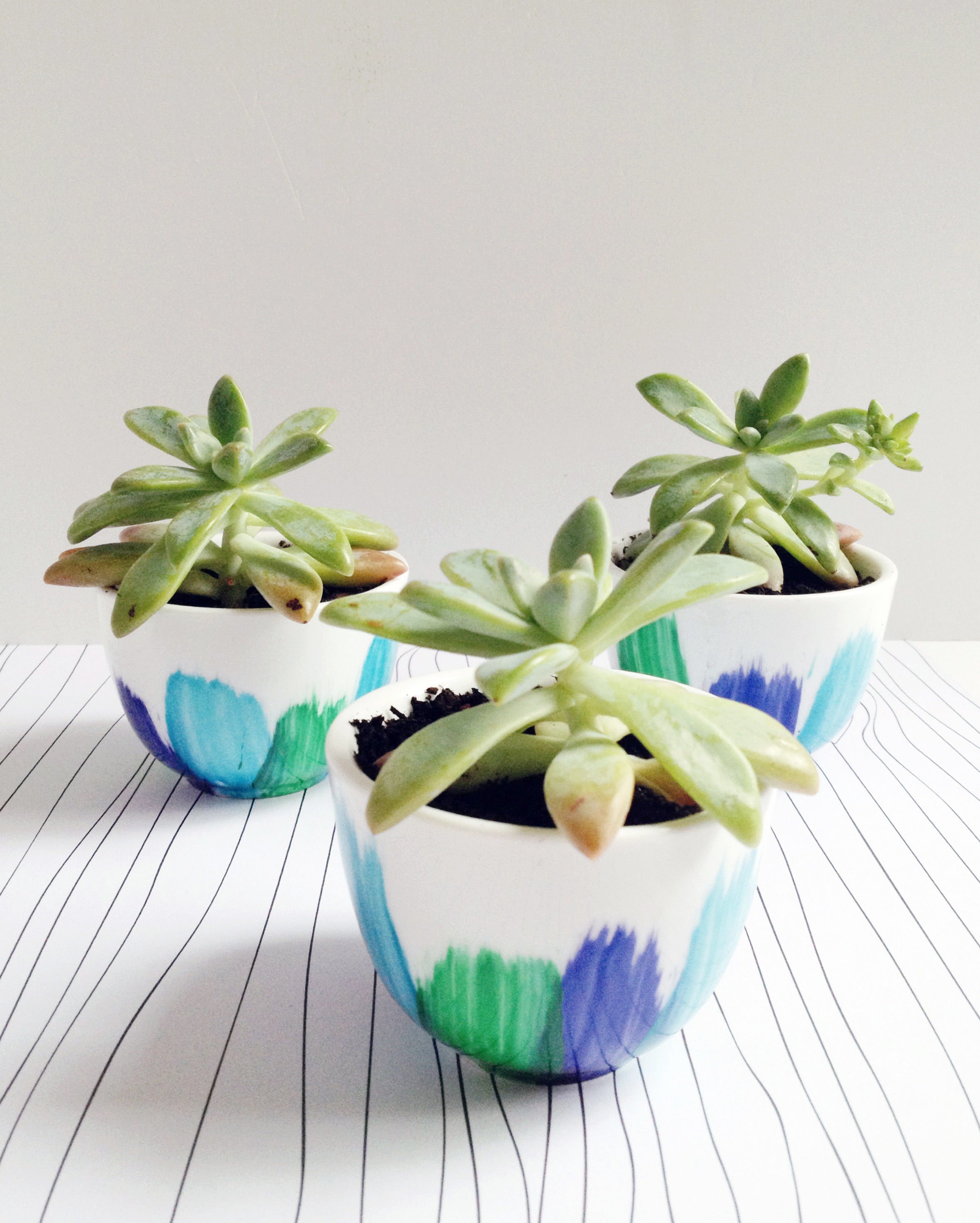 Snazzy Painted Planter Pots