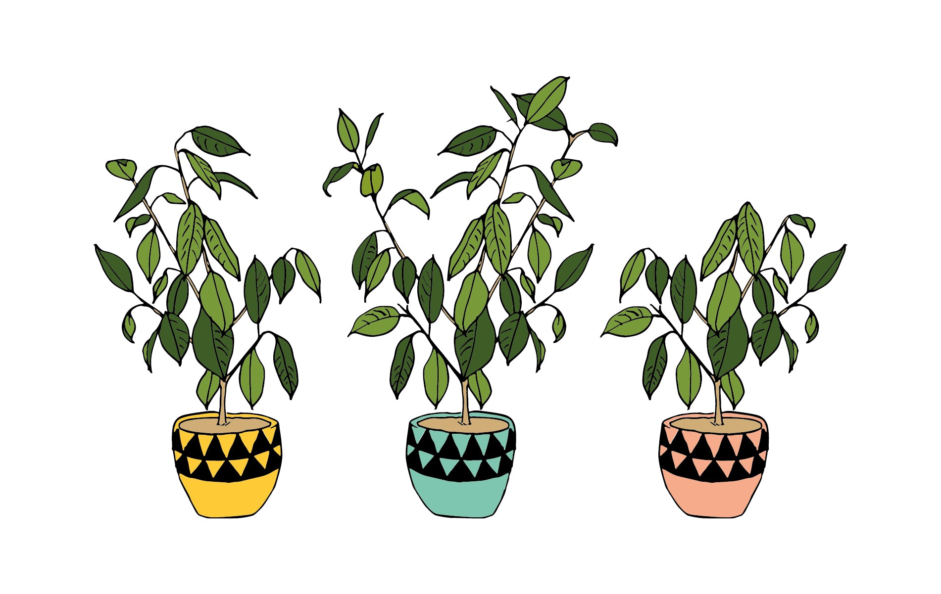 Pot plant desktop wallpaper – Make and Tell
