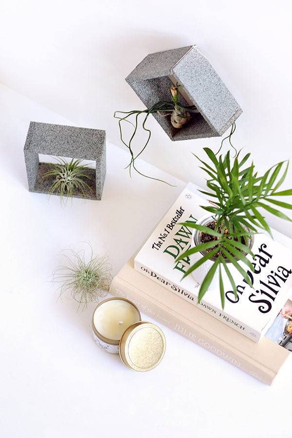 DIY faux stone air plant holders