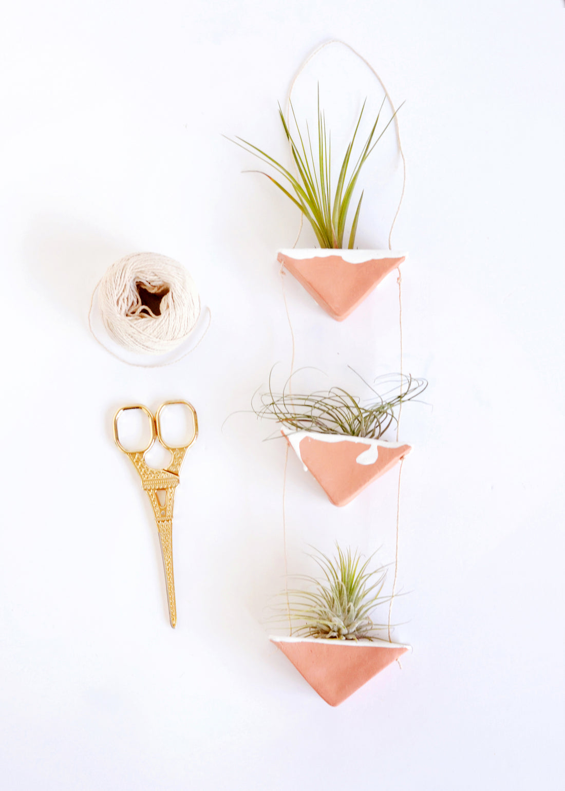 Clay air plant wall hanging for Squirrelly Minds