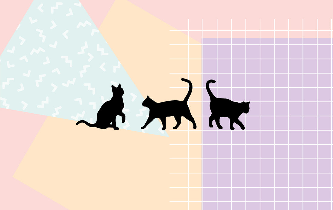 Black cat desktop wallpaper