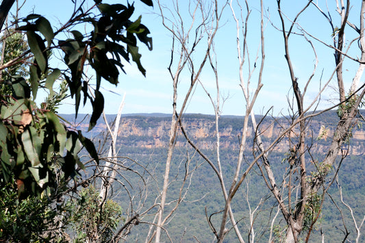 Destination | Blue Mountains road trip