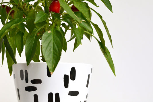 DIY dashed plant pot