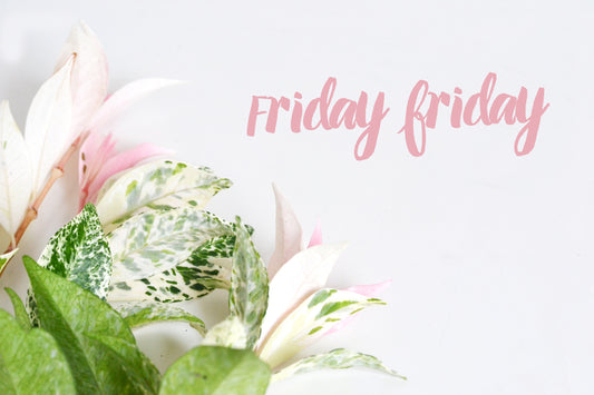 Friday faves | 20.03.15