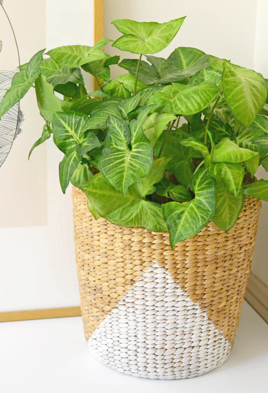 DIY painted basket planter