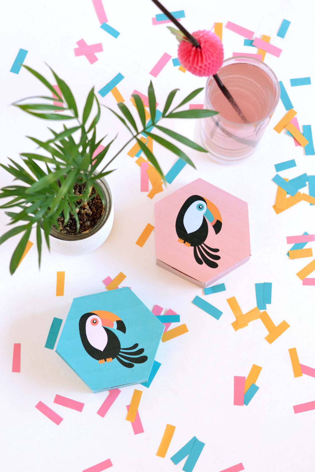 Printable toucan gift boxes