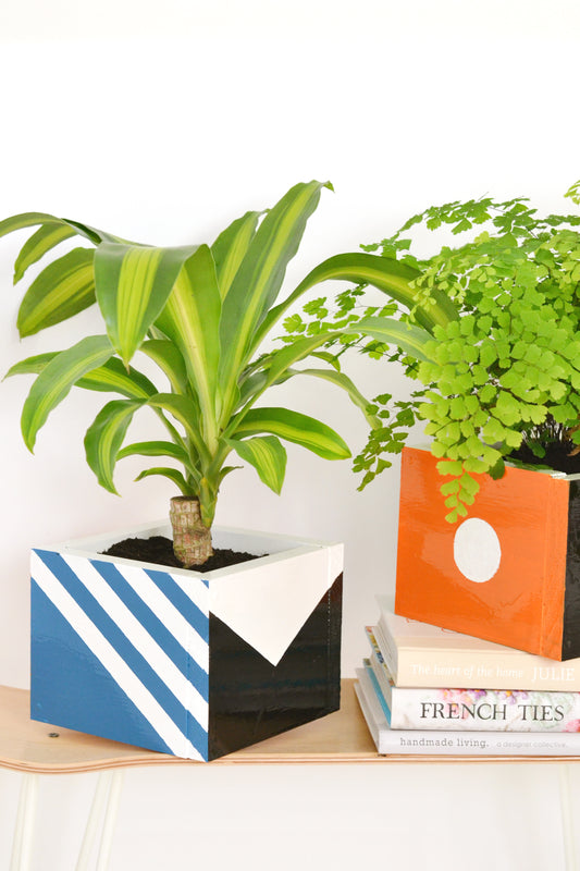 DIY wood box planters for Design Sponge