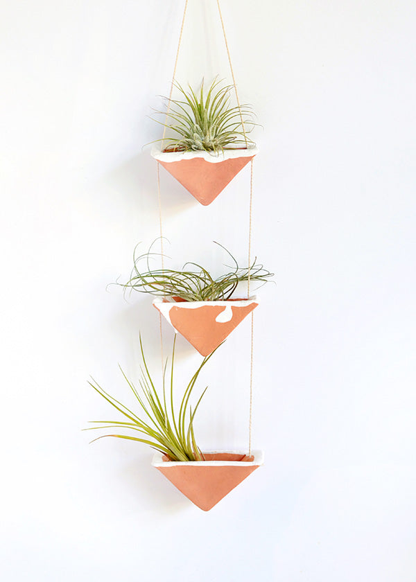 Clay Air Plant Wall Hanging For Squirrelly Minds Make And Tell - Plant Wall Decor Diy