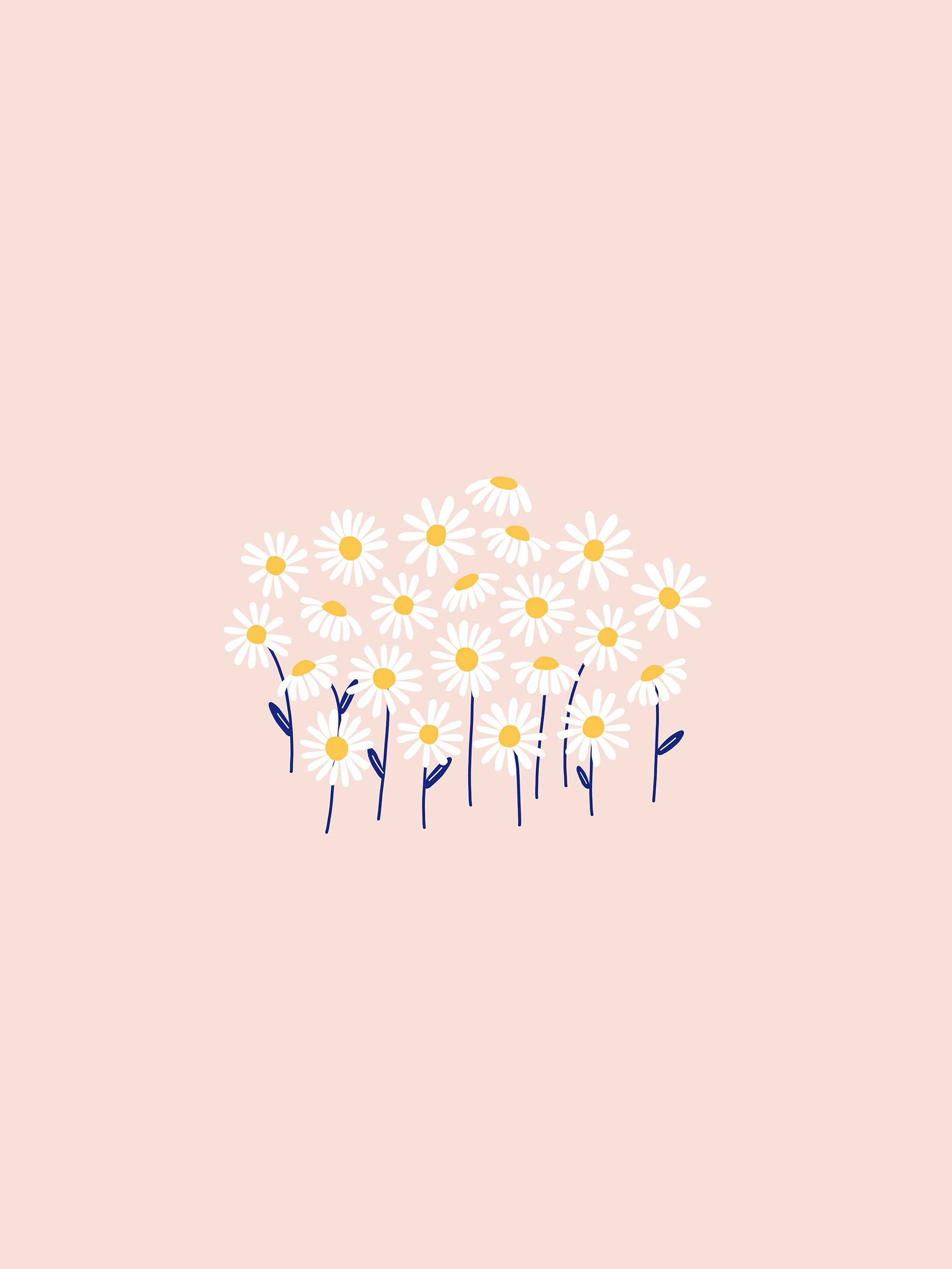 Daisy desktop, tablet and phone wallpaper – Make and Tell